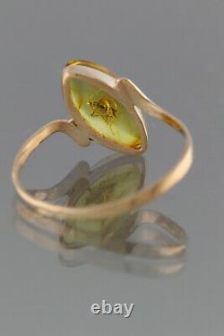 Genuine BALTIC AMBER 14K GOLD Great Fossil Insect WASP 6 Ring 1g 191128-9