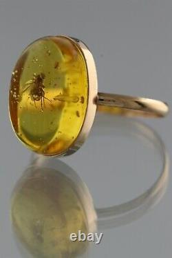 Genuine BALTIC AMBER 14K GOLD Large Fossil Insect FLY 8.5 Ring 1.9g 200520-10