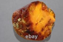 Genuine BALTIC AMBER Egg Yolk Solid Rough Nugget Stone Piece 102g 230907-6