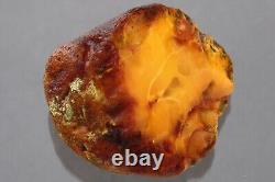 Genuine BALTIC AMBER Egg Yolk Solid Rough Nugget Stone Piece 102g 230907-6