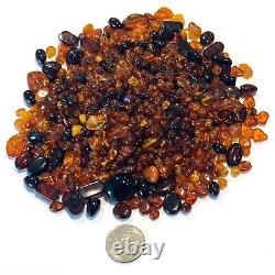 Genuine Cognac Baltic Amber Assorted Drilled Through Small Gemstones Set 180 g