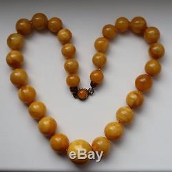 Genuine Egg Yolk Natural Baltic Amber Beads Necklace, 102 gr
