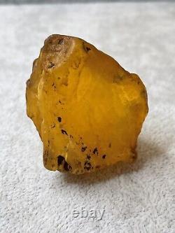 Genuine Natural BALTIC AMBER Raw Stone. Amber for Collectors 46