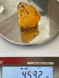Genuine Natural BALTIC AMBER Raw Stone. Amber for Collectors 46