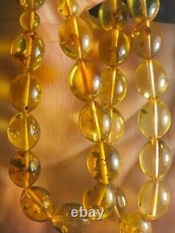 Genuine Natural Baltic Amber INSECTS IN EVERY BEAD Prayer Beads 35g 14mm x 11mm