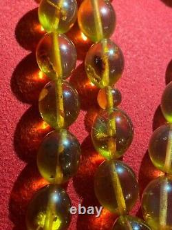 Genuine Natural Baltic Amber INSECTS IN EVERY BEAD Prayer Beads 35g 14mm x 11mm