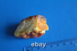 Genuine Natural Baltic Amber Stone 30 gr