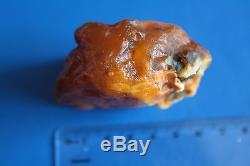 Genuine Natural Baltic Amber Stone 54.9 gr