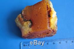 Genuine Natural Baltic Amber Stone 72 gr