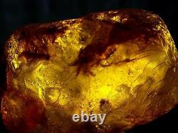 Genuine Quality Large Baltic Amber Stone Transparent Cognac with Inclusions