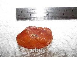 Genuine Quality Large Baltic Amber Stone Transparent Cognac with Inclusions