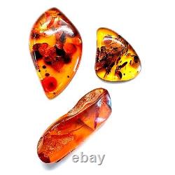 Genuine Warm Natural Baltic Amber Polished Large Raw Free Shape Gemstones Set