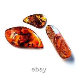 Genuine Warm Natural Baltic Amber Polished Large Raw Free Shape Gemstones Set