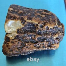 Genuine White Amber Baltic Stone Rough Raw Nugget