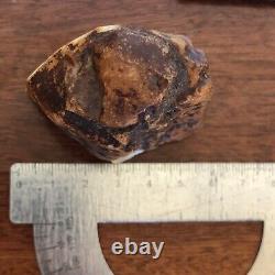 Genuine White Amber Baltic Stone Rough Raw Nugget