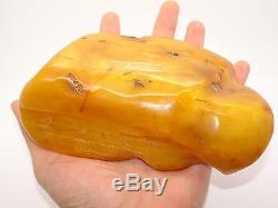 HUGE Antique Natural Baltic Egg Yolk Butterscotch Amber 387 Grams