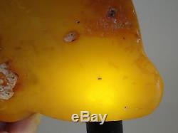 HUGE Antique Natural Baltic Egg Yolk Butterscotch Amber 387 Grams
