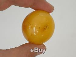 Huge 21.9 grams Egg Yolk Butterscotch Natural Baltic Amber Bead