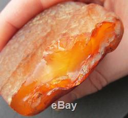Huge Natural Genuine Butterscotch Egg Yolk Baltic Amber Stone 264g