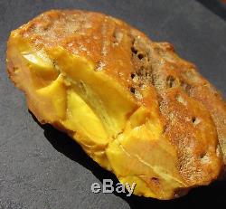 Huge Natural Genuine Butterscotch Egg Yolk Baltic Amber Stone 300g