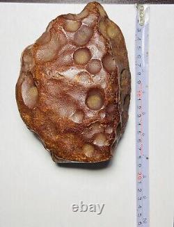 Huge Rare Colour Natural Baltic Amber stone 792 gr kahraman Raw Amber