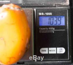 Huge natural Baltic Amber more than 100 g Egg Yolk Butterscotch