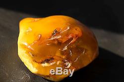 Huge natural Baltic Amber more than 200g Egg Yolk Butterscotch
