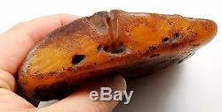 Huge natural butterscotch genuine Baltic amber raw rough stone 414.2 grams