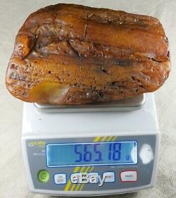 Huge natural butterscotch genuine Baltic amber raw rough stone 565.18 grams
