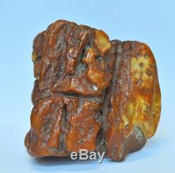 Impressive size Natural Baltic Raw Amber, MILA amber