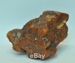 Impressive size Natural Baltic Raw Amber, MILA amber
