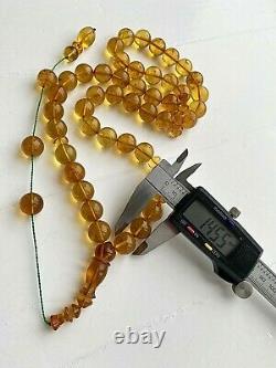 Inclusion Insect 92g. Natural Baltic Amber 14.5 mm. Big Islamic Prayer Rosary