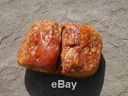 LARGE NATURAL RAW BALTIC AMBER BUTTERSCOTCH MOTTLED 390 GRAMS SEE MORE THIS WEEK