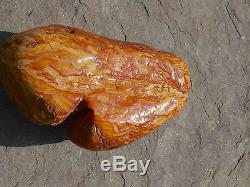LARGE NATURAL RAW BALTIC AMBER BUTTERSCOTCH MOTTLED 390 GRAMS SEE MORE THIS WEEK