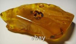 Large Amber Stone Natural amber stone Collectors Piece Genuine Amber raw