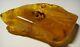 Large Amber Stone Natural amber stone Collectors Piece Genuine Amber raw