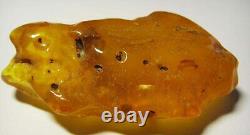 Large Amber Stone Natural amber stone Collectors Piece Genuine Amber raw