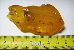 Large Amber Stone Natural amber stone Collectors Piece Genuine Amber raw