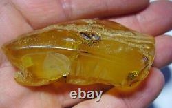 Large Amber Stone Natural amber stone Collectors Piece Genuine Amber raw