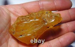 Large Amber Stone Natural amber stone Collectors Piece Genuine Amber raw