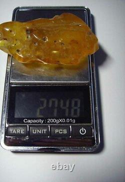 Large Amber Stone Natural amber stone Collectors Piece Genuine Amber raw