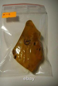 Large Amber Stone Natural amber stone Collectors Piece Genuine Amber raw