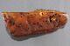 Large Genuine BALTIC AMBER Butterscotch Solid Nugget Stone Piece 125.7g 211202-2
