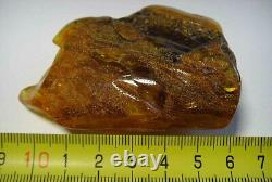 Large Natural Amber stone Genuine Baltic Amber raw piece gemstone amber 32gr