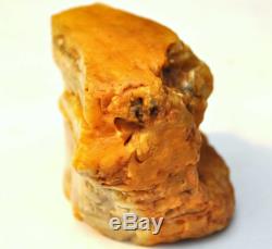 Large Natural Baltic Butterscotch Raw Amber 114 Grams