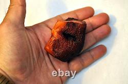 Large Natural Raw Baltic Butterscotch Amber Stone 47 Grams