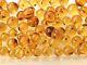 Lot of 164 Baltic amber round undrilled beads with fossil insect inclusions