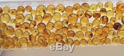 Lot of 164 Baltic amber round undrilled beads with fossil insect inclusions