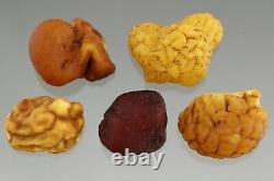 Lot of 5 BALTIC AMBER Natural Raw Rough Drop Nugget Piece Stone 19.7g 210422-1