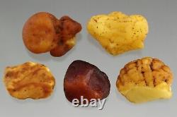 Lot of 5 BALTIC AMBER Natural Raw Rough Drop Nugget Piece Stone 19.7g 210422-1